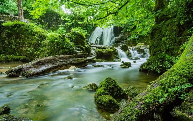 高端高标准高质量